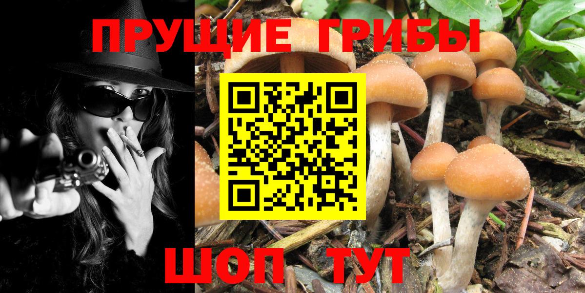 Псилоцибиновые грибы MAGIC MUSHROOMS  Вход с VPN  Зерноград 